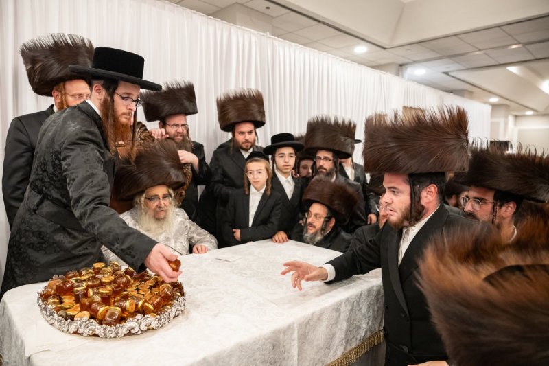 אלי שווארץ