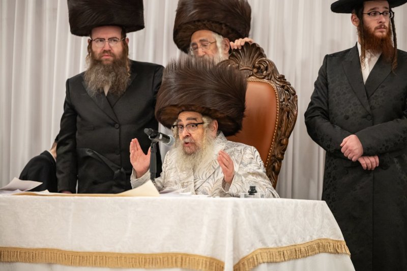 אלי שווארץ