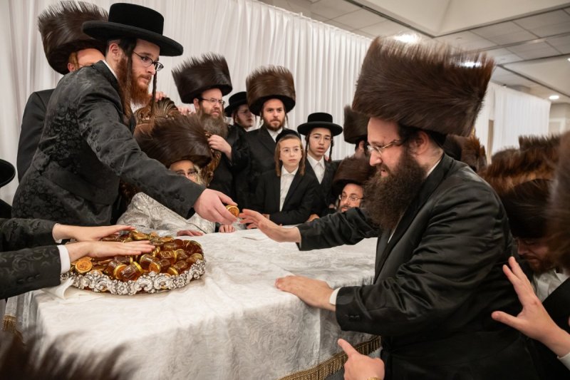אלי שווארץ
