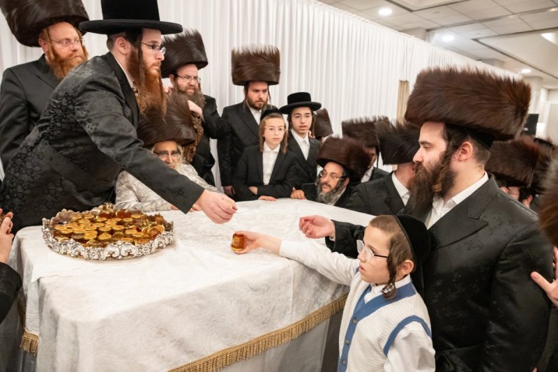 אלי שווארץ