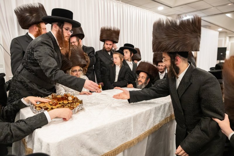 אלי שווארץ