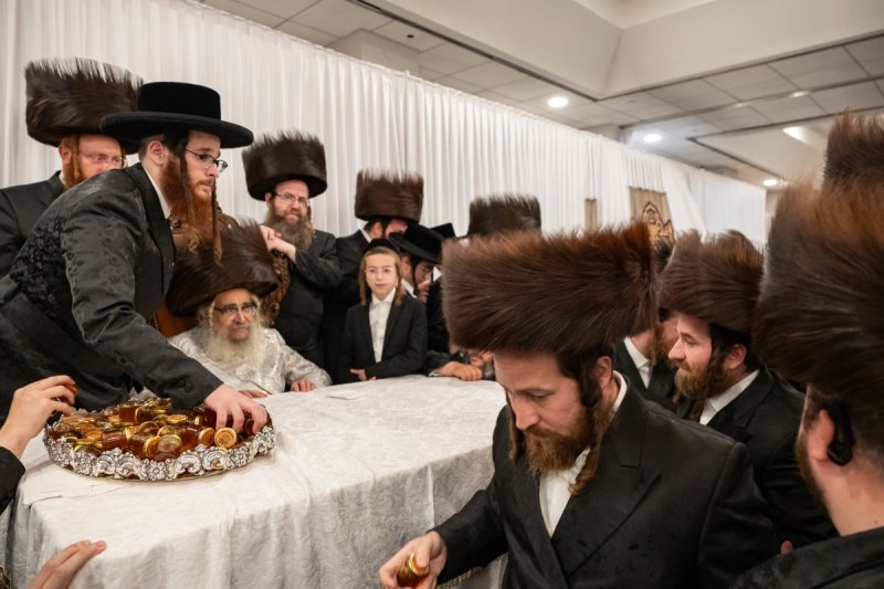 אלי שווארץ