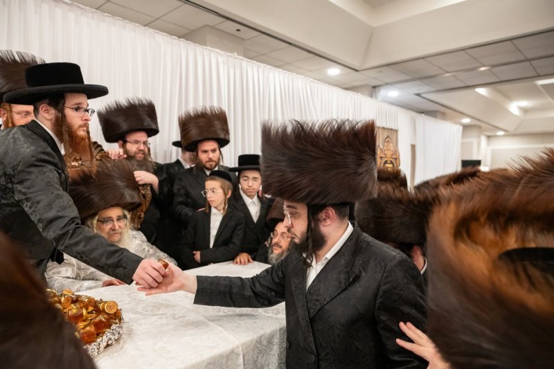 אלי שווארץ