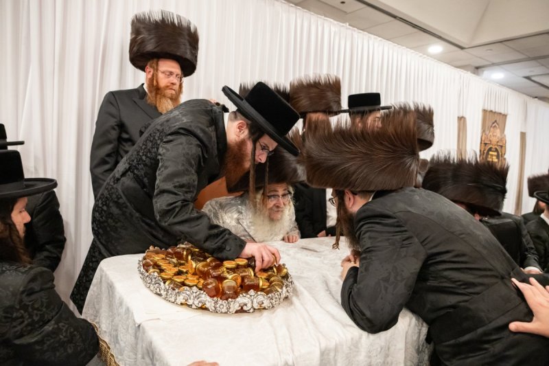 אלי שווארץ