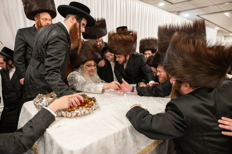 אלי שווארץ