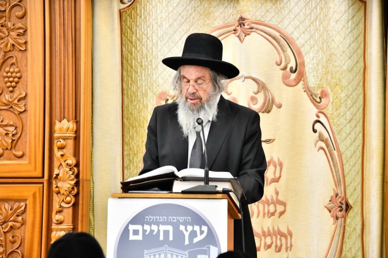 שוקי לרר