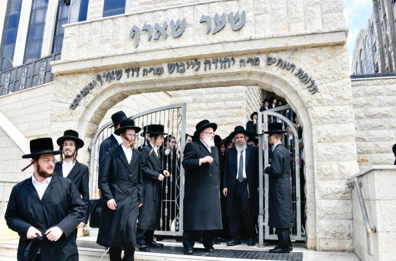 שוקי לרר