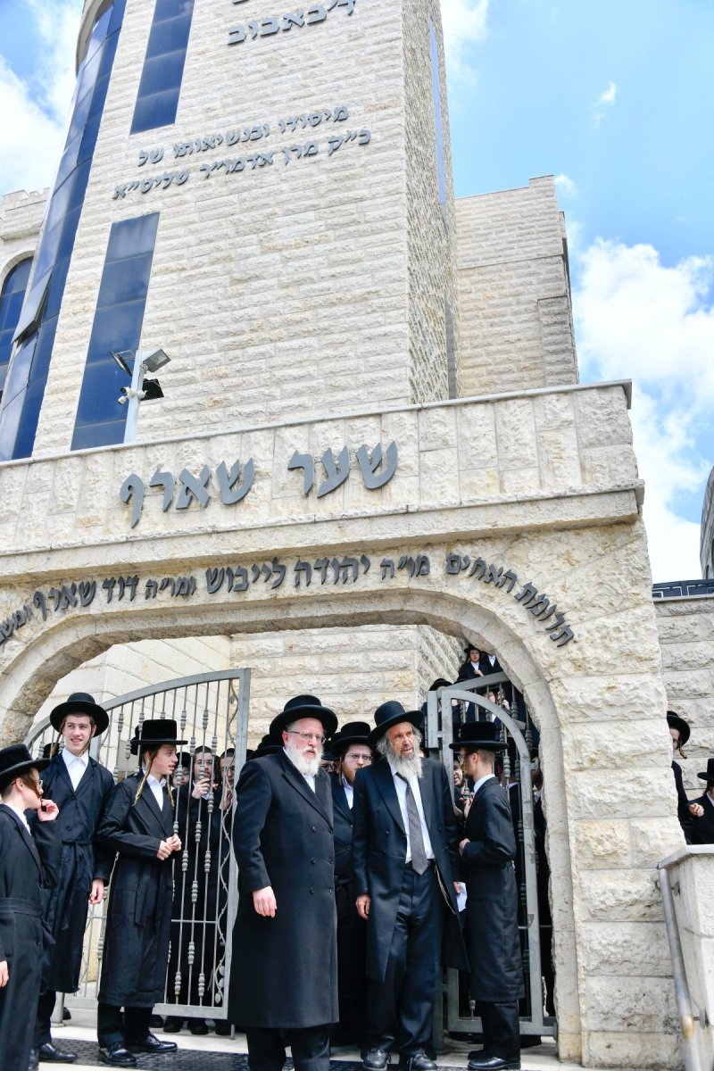 שוקי לרר