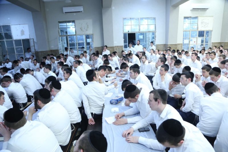 דוד קשת