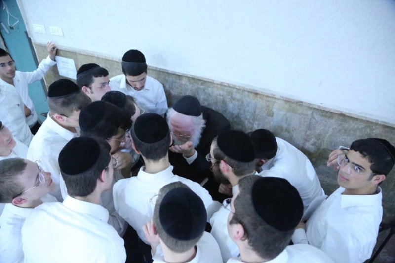 דוד קשת
