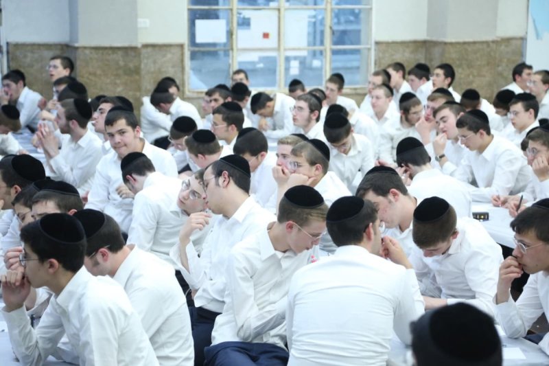 דוד קשת