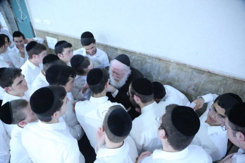 דוד קשת