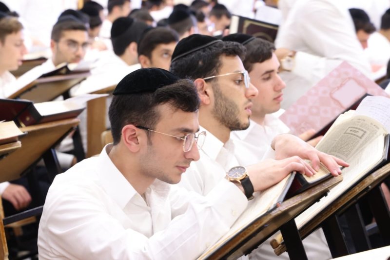 שמואל דריי