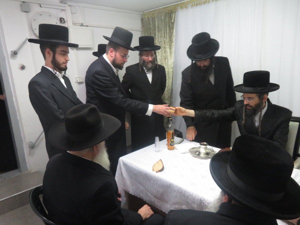 באדיבות המצלם