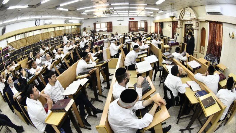 שוקי לרר