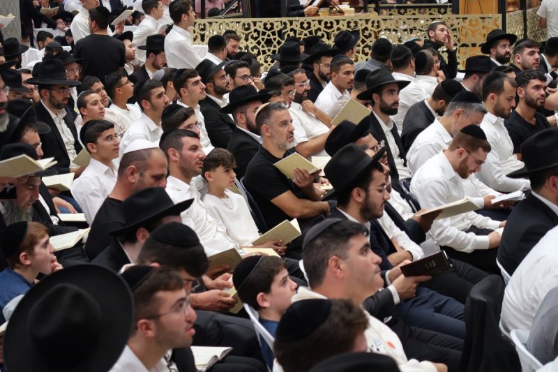 ש.פ.ה