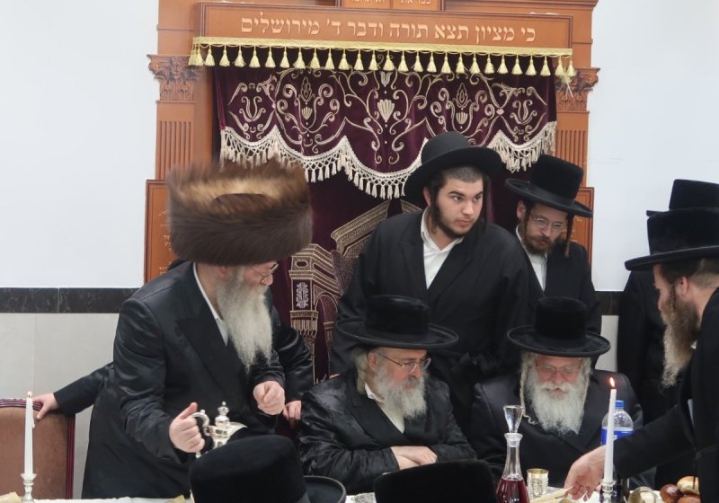 י. פריד