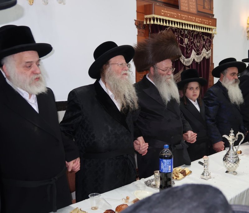 י. פריד