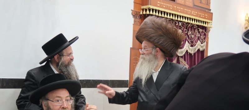 י. פריד