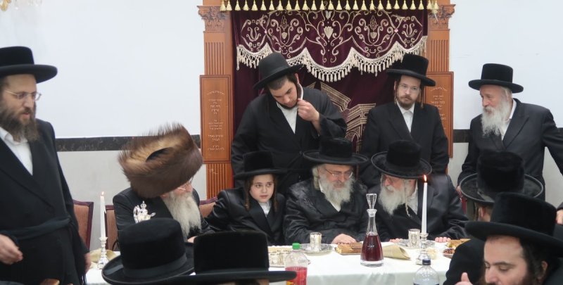 י. פריד