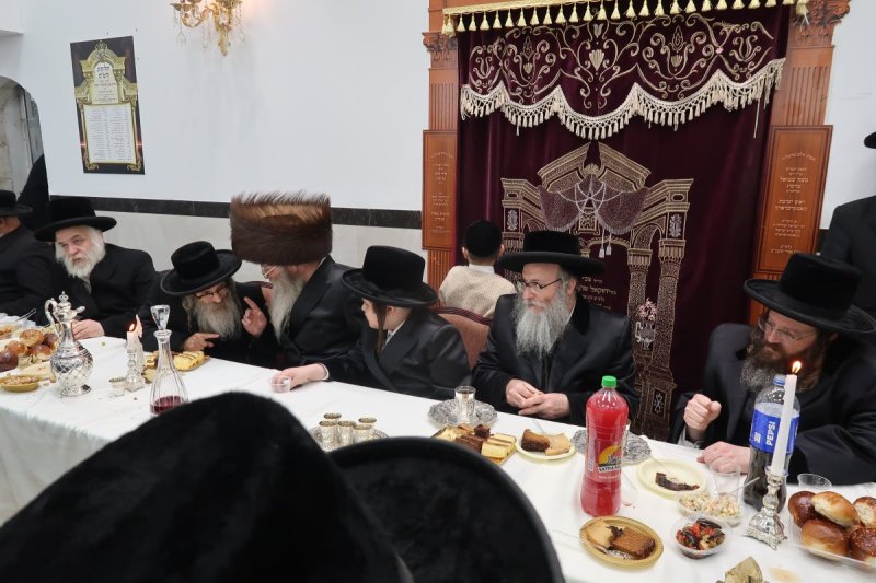 י. פריד