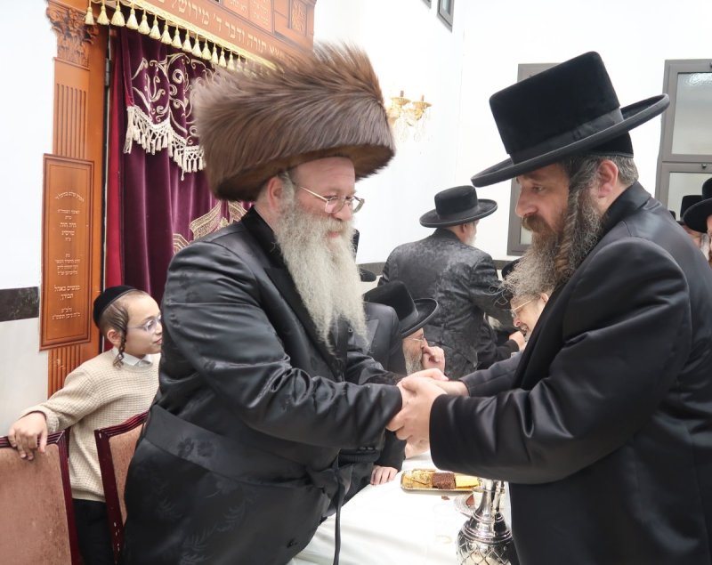 י. פריד