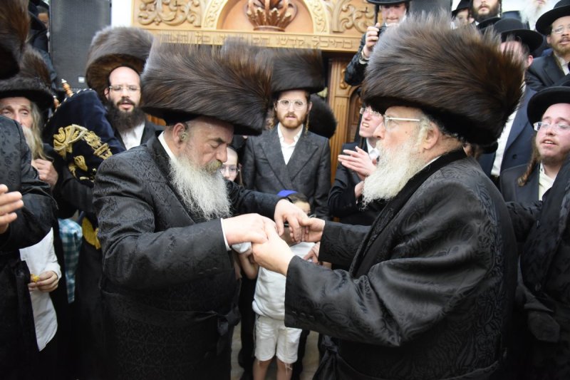 שימי פ.
