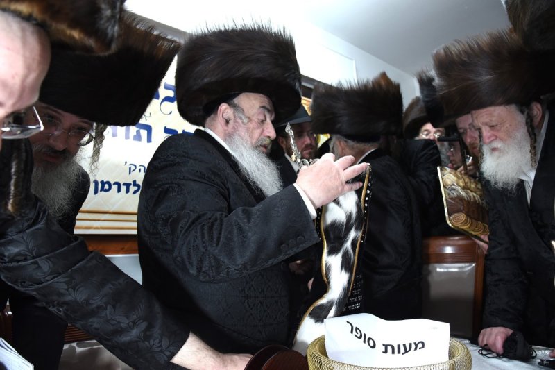 שימי פ.