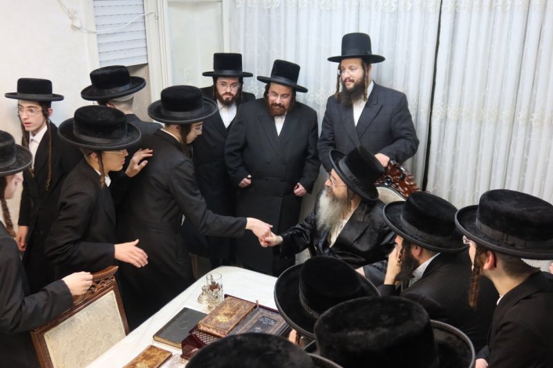 דודי פריד