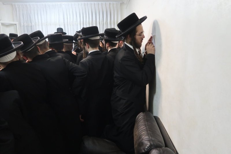 דודי פריד
