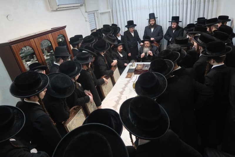 דודי פריד