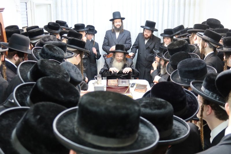דודי פריד