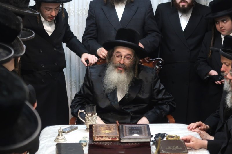דודי פריד