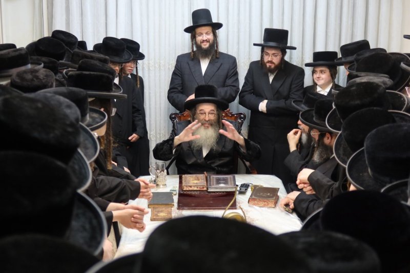 דודי פריד
