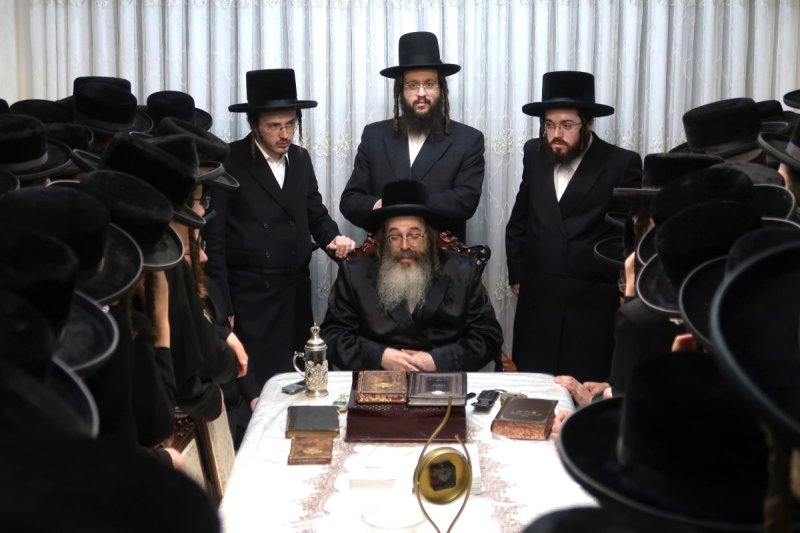 דודי פריד
