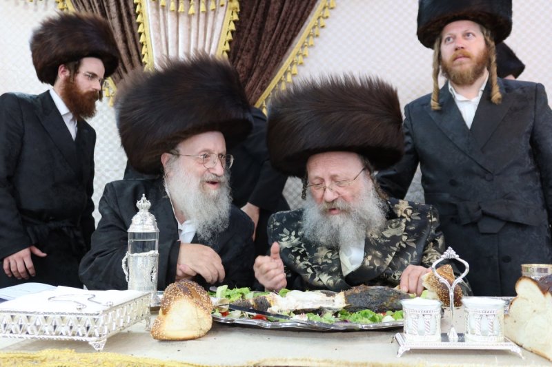 שימי פ.