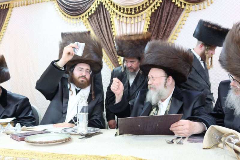 שימי פ.