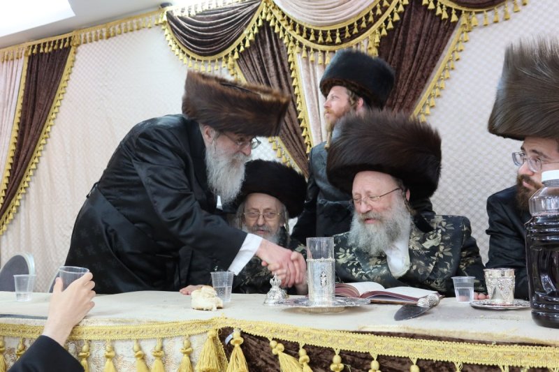 שימי פ.