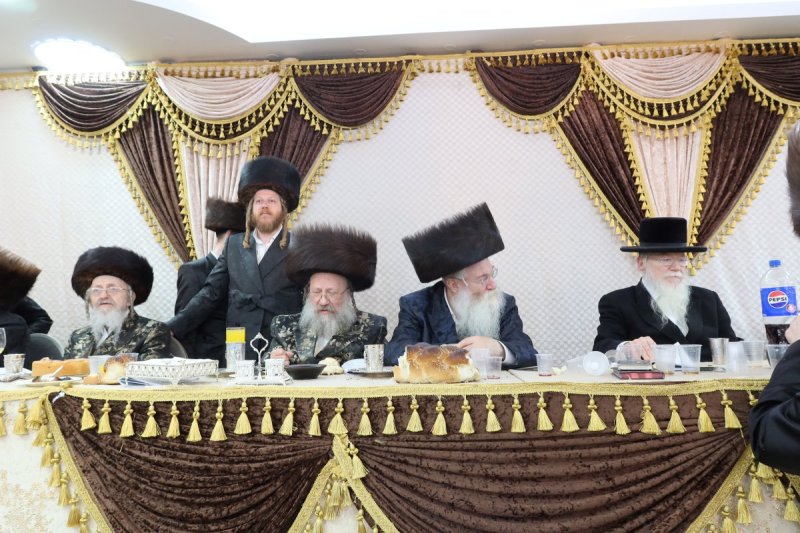 שימי פ.