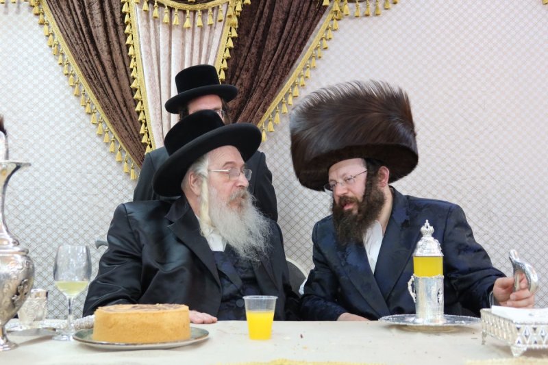 שימי פ.
