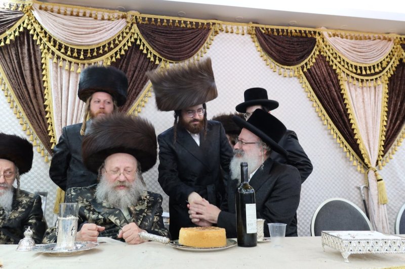 שימי פ.