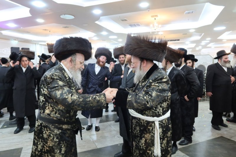 שימי פ.