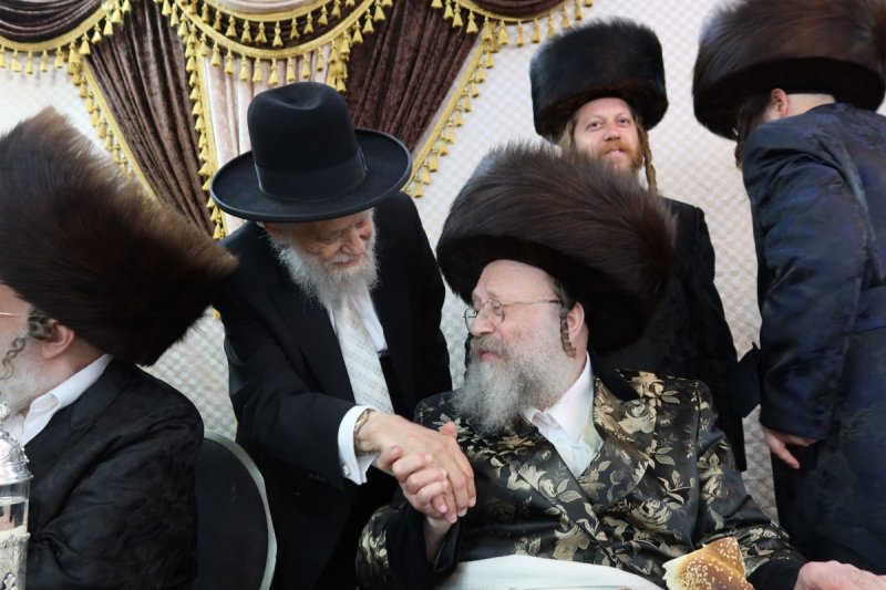 שימי פ.