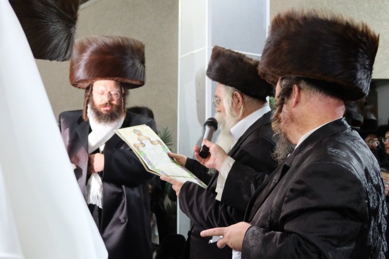 שימי פ.