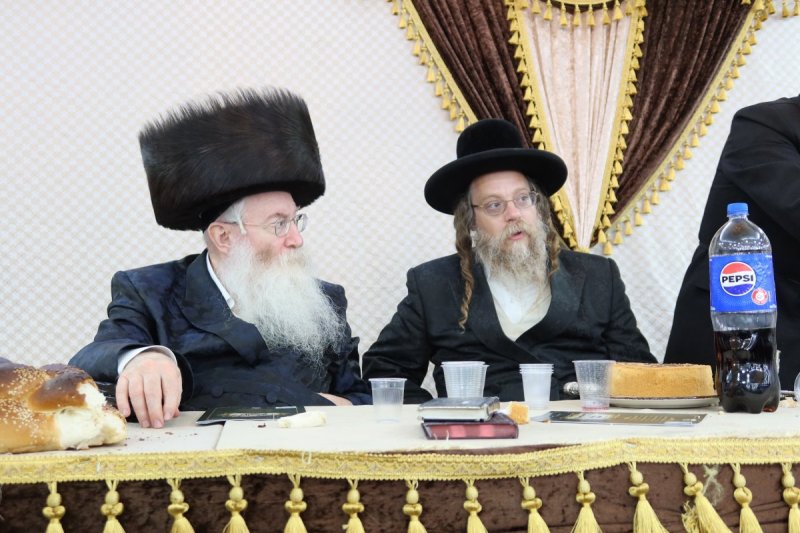 שימי פ.