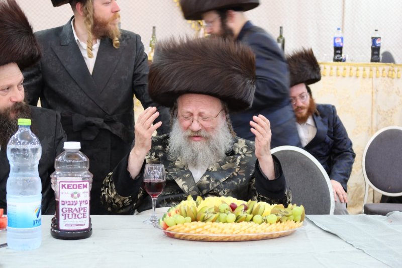 שימי פ.