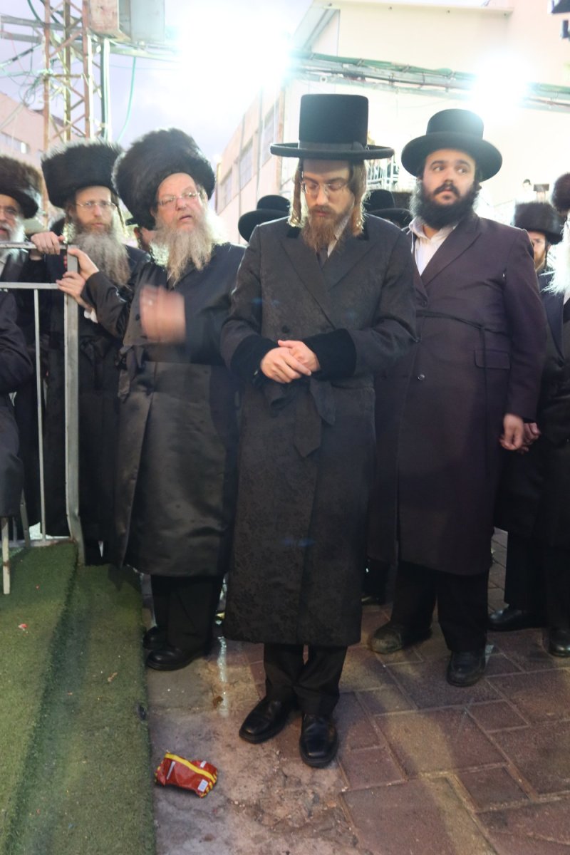 שימי פ.
