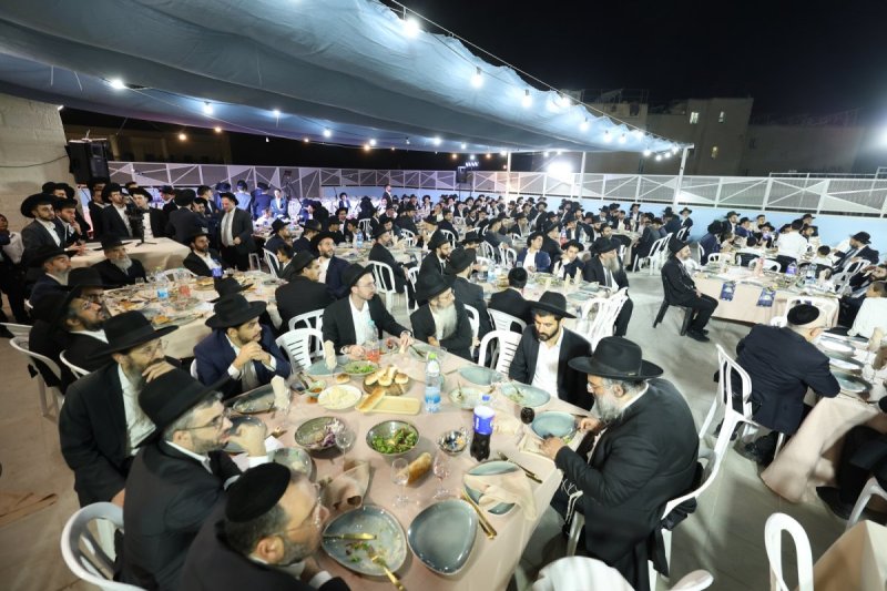 יעקב כהן