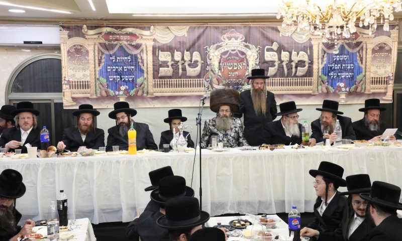 אדמו"רי ורבני ביתר נהרו: בר מצווה לבן האדמו"ר מראפשיץ