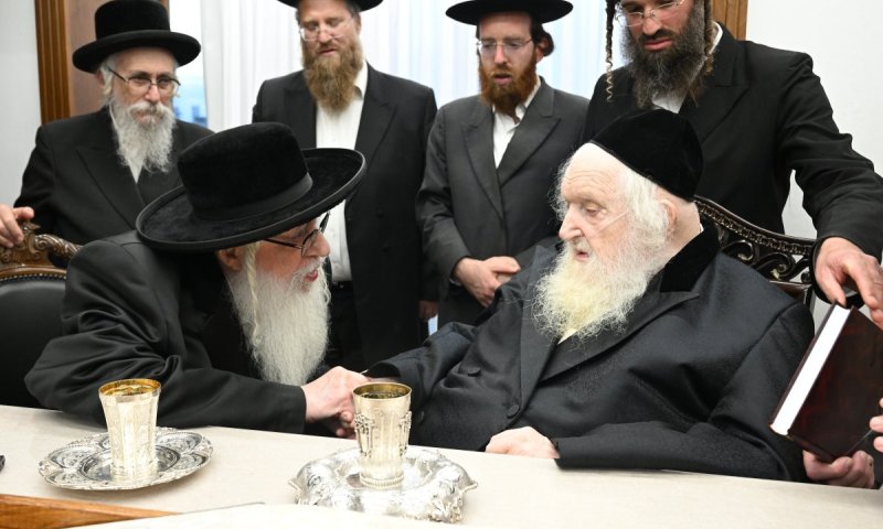 פוסק הדור על תפקידו של האדמו"ר מצאנז בעולם החסידות | צפו